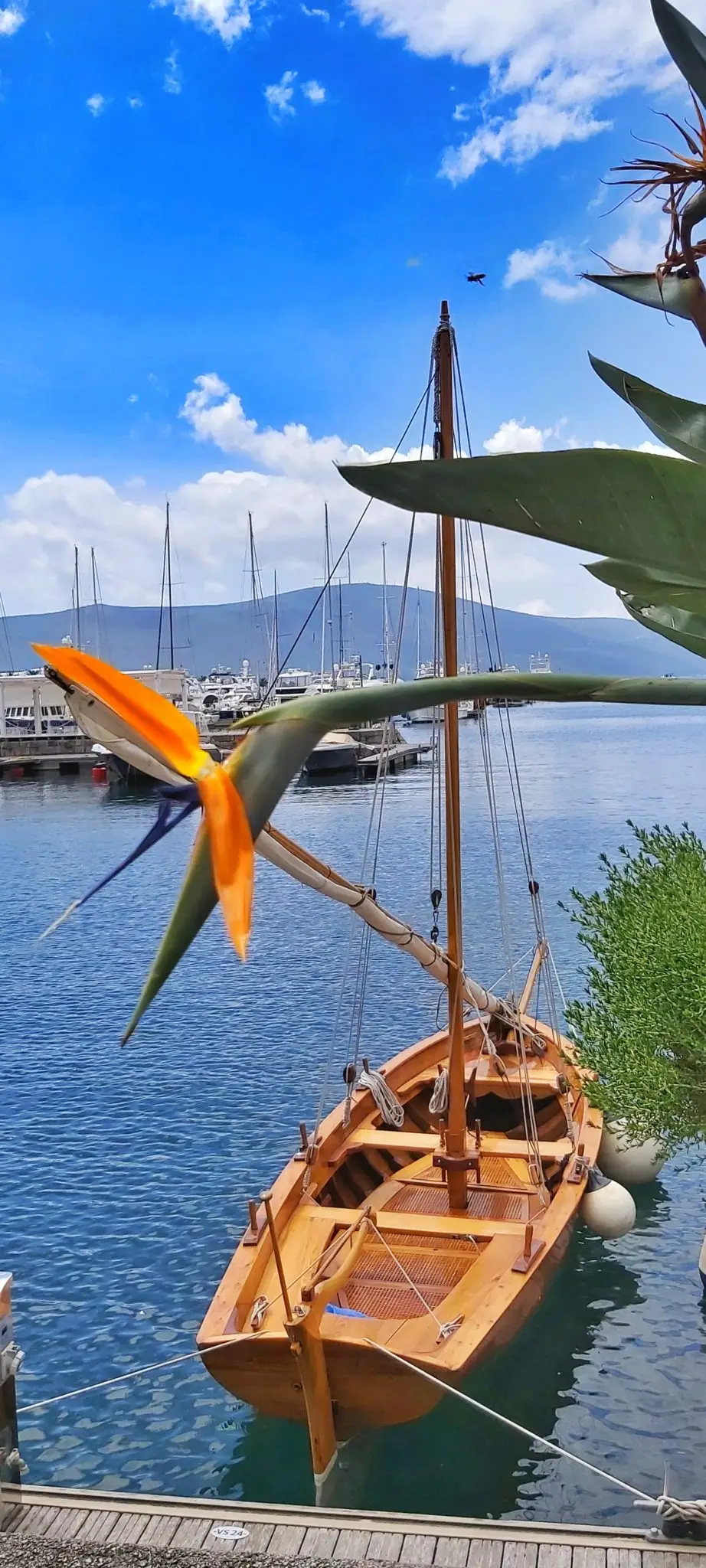 Wooden sailboat moored at the Porto Montenegro marina, Tivat