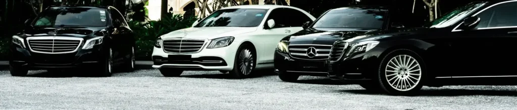 Row of black and white Mercedes S-Class sedans parked under palm trees