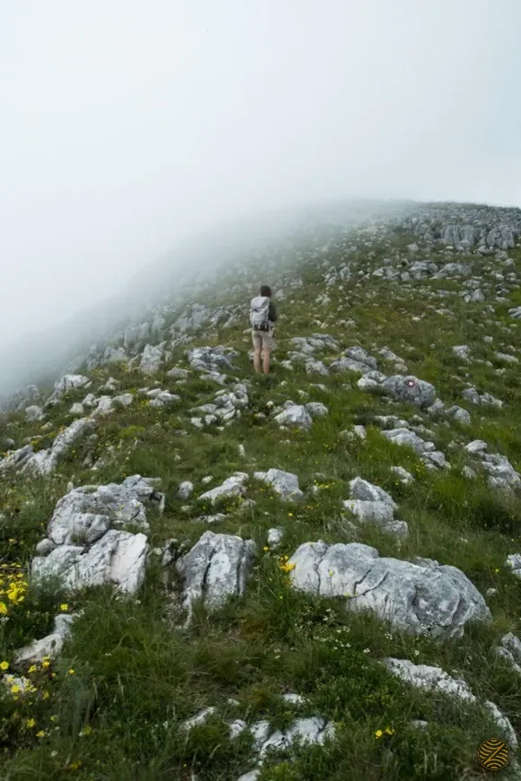 Hiker on a misty limestone ridge with wildflowers in the mountains of Montenegro