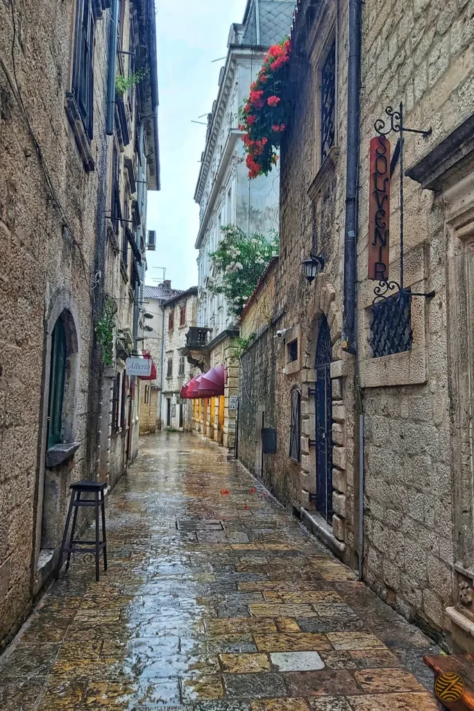 A rain-washed stone street in Kotor Old Town
