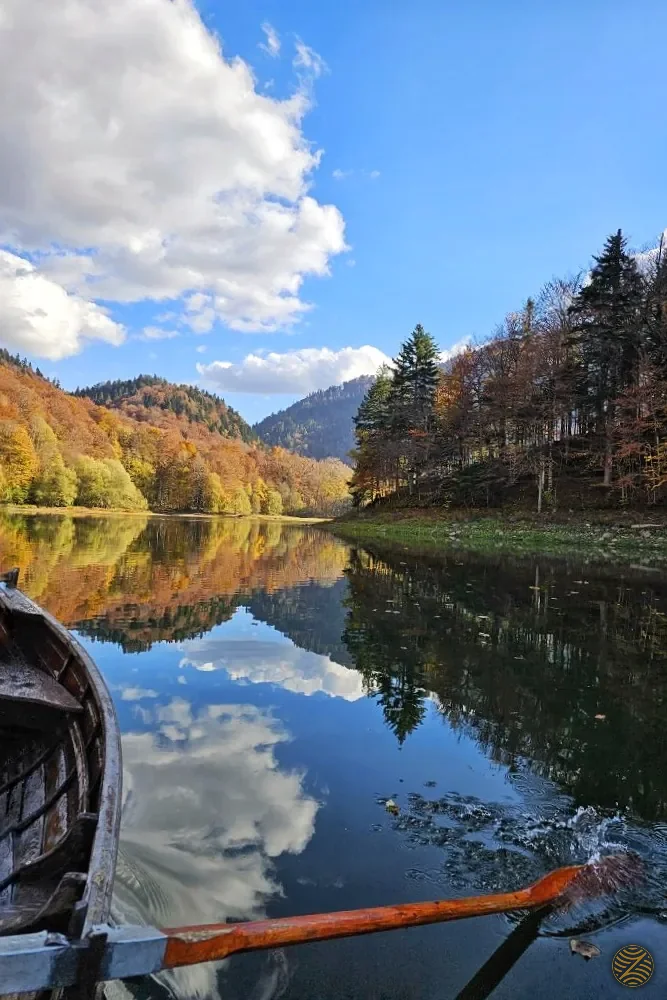 Rowing boat on Biograd Lake reflecting the autumn forest, Biogradska Gora National Park, Montenegro