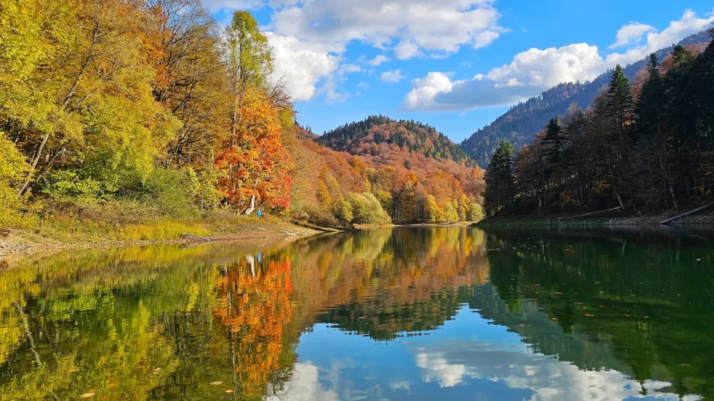 Autumn colours reflected in Biogradsko Lake, Biogradska Gora National Park, Montenegro